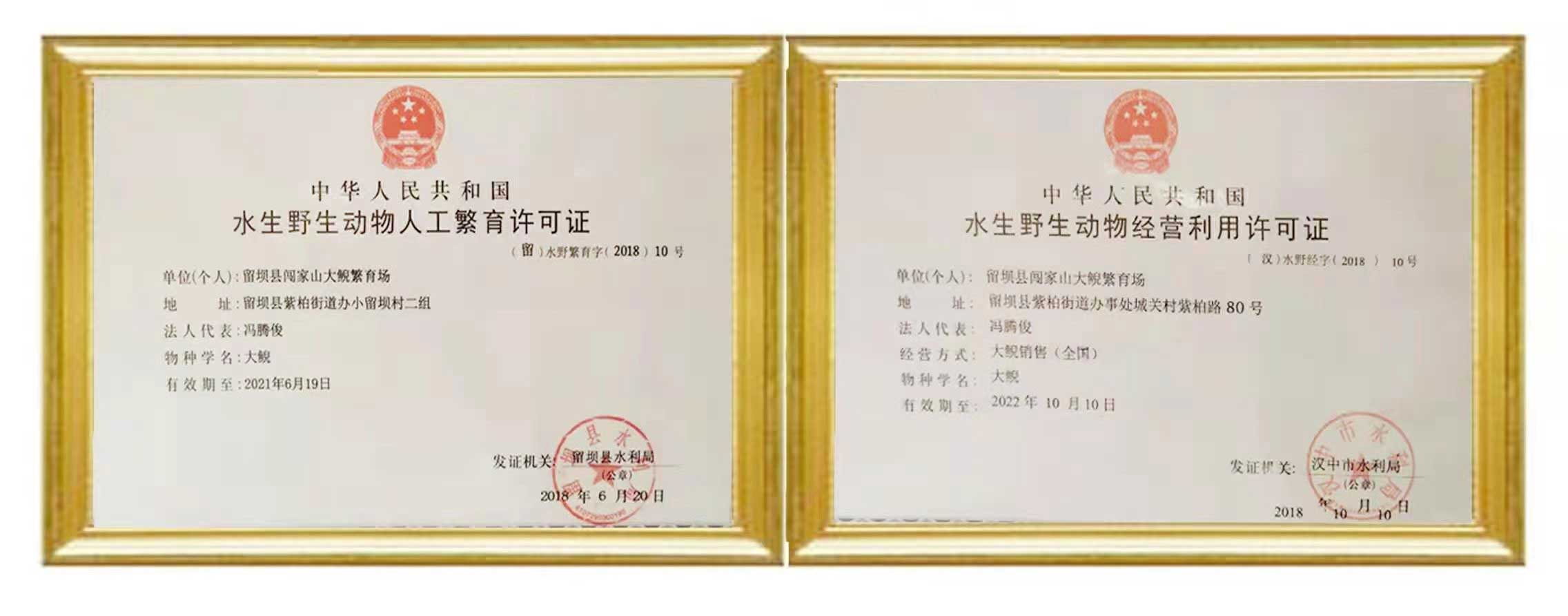 榮譽資質